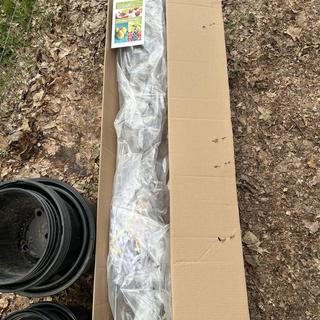 Submitted by Wayne D