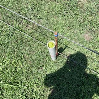Submitted by RICHARD M