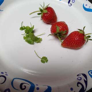 Submitted by Felicia H