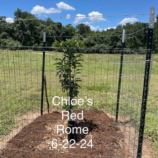 Submitted by BETH G