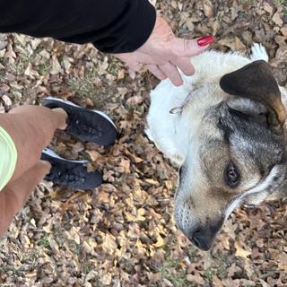 Submitted by Susan150844761