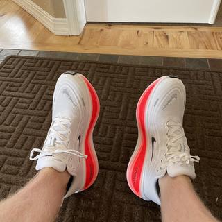 Submitted by Drew