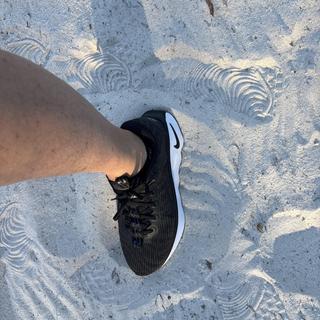 Submitted by Susan150844761