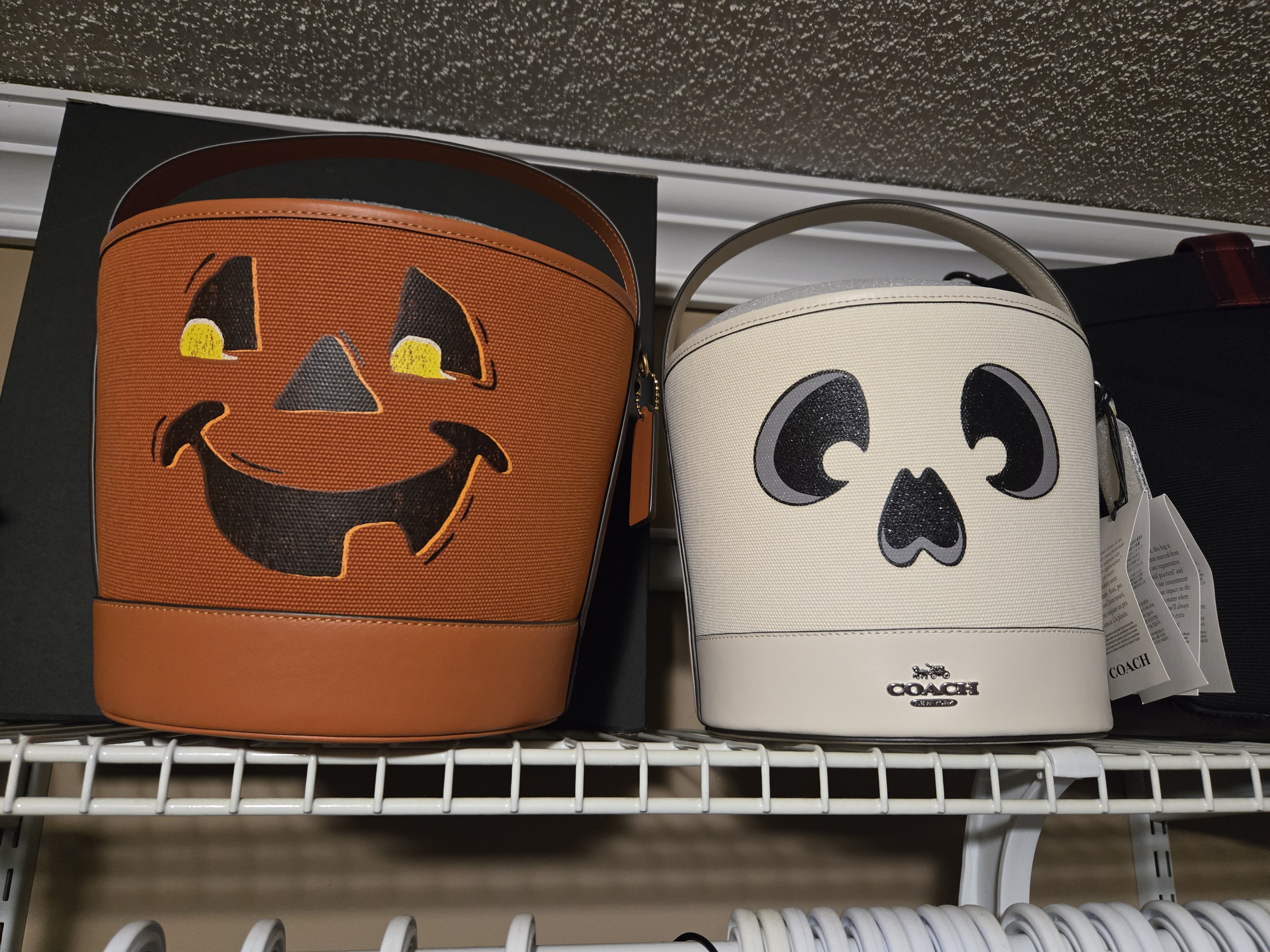 COACH® Outlet | Trick Or Treat Bucket With Halloween Pumpkin In  
