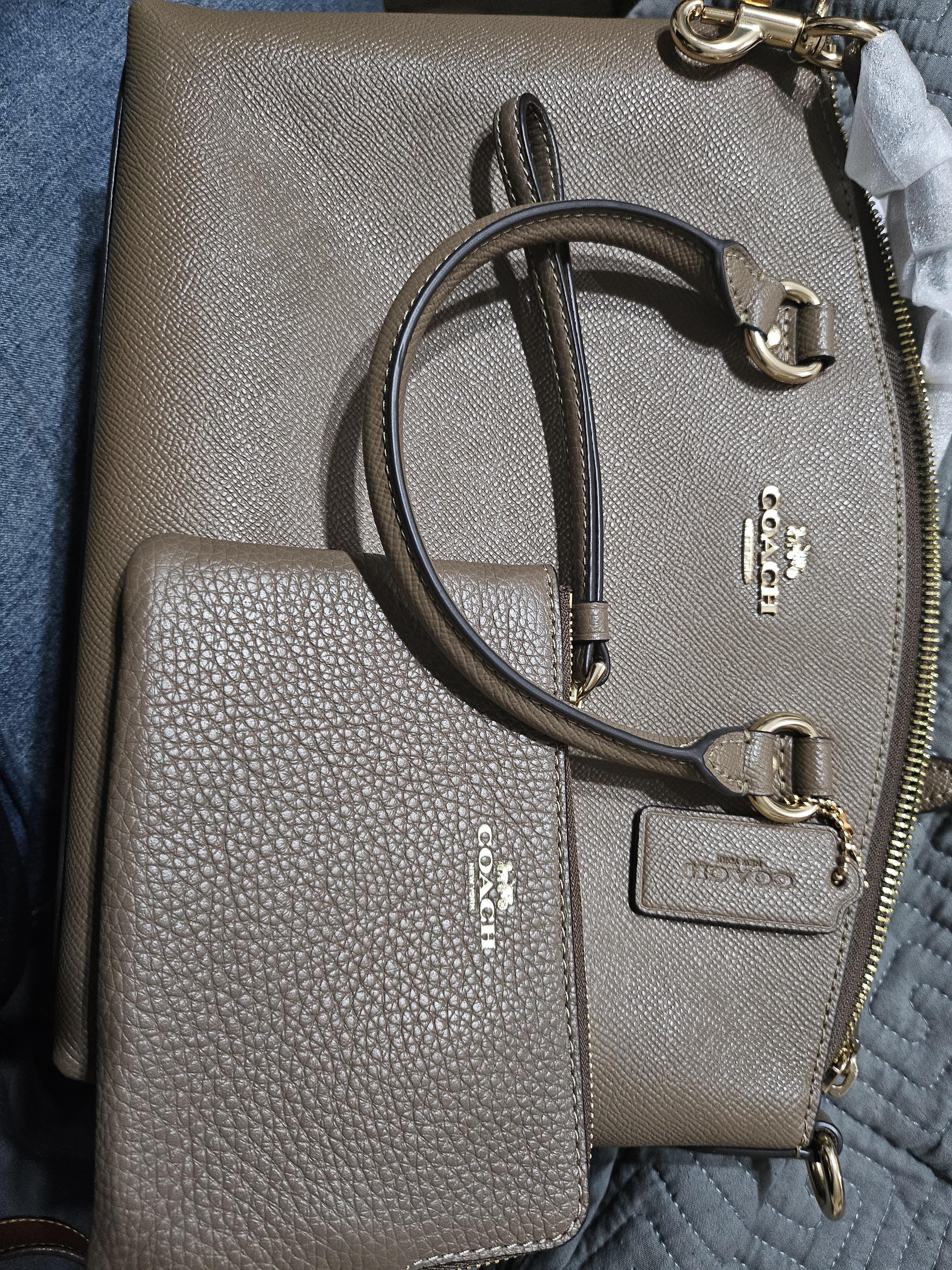 COACH® Outlet | Sadie Satchel Bag In Signature Canvas