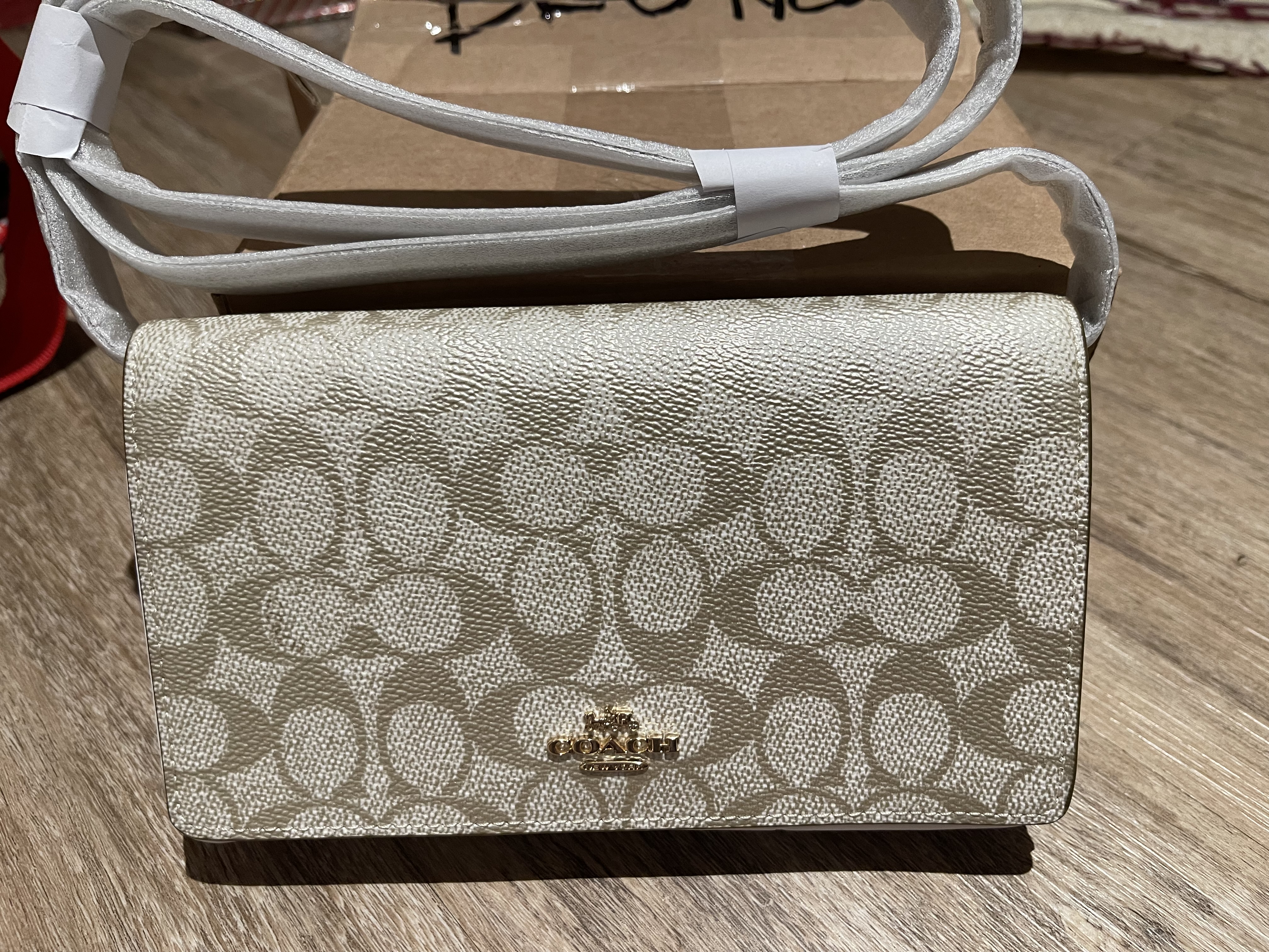 COACH® Outlet | Anna Foldover Clutch Crossbody With Ladybug