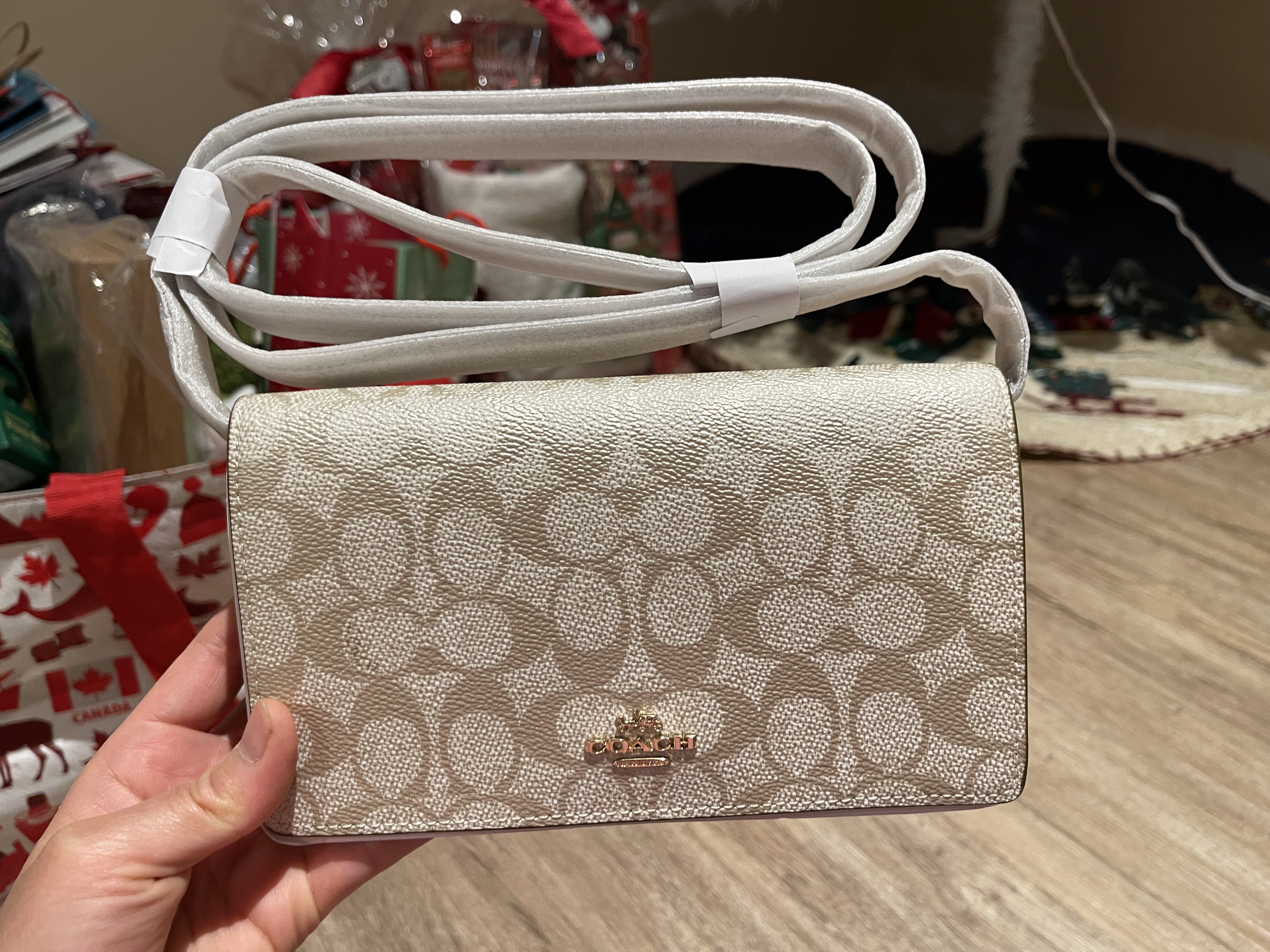 COACH® Outlet | Anna Foldover Clutch Crossbody With Heart