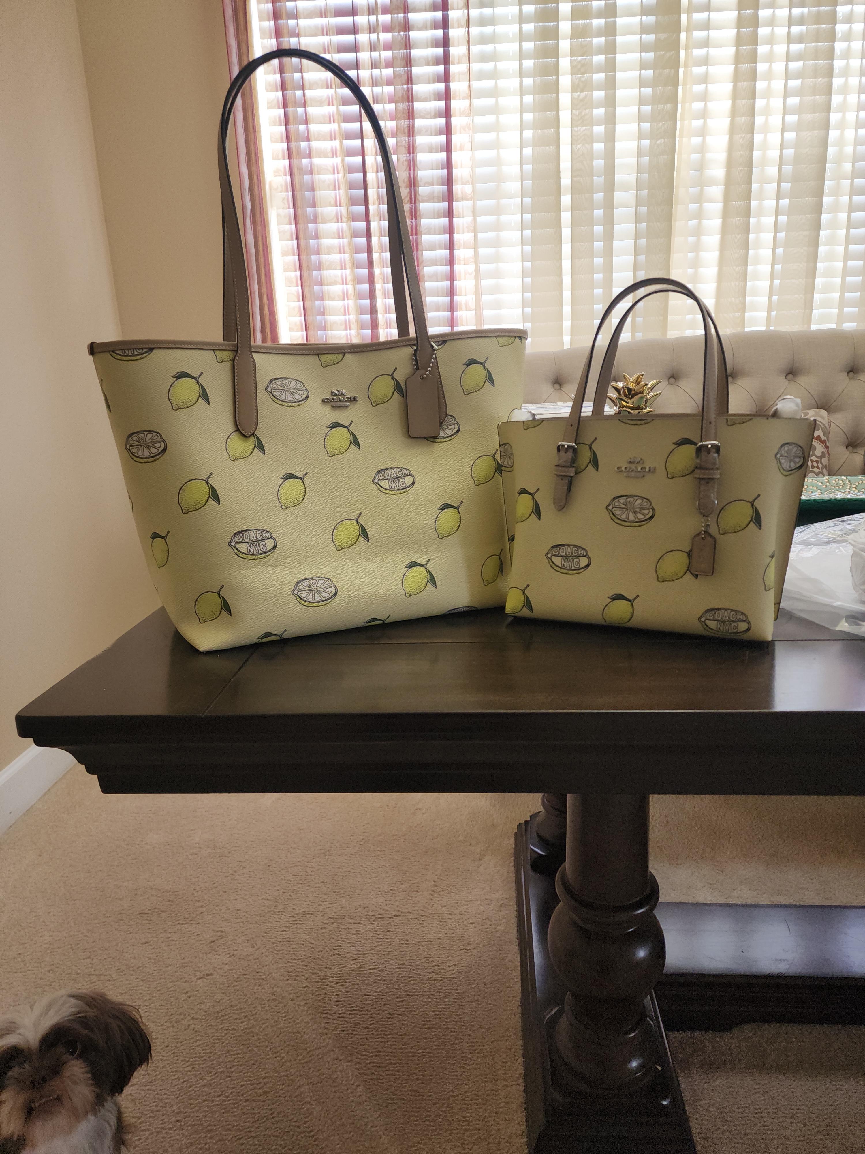 COACH® Outlet | Long Zip Around Wallet With Butterfly Print