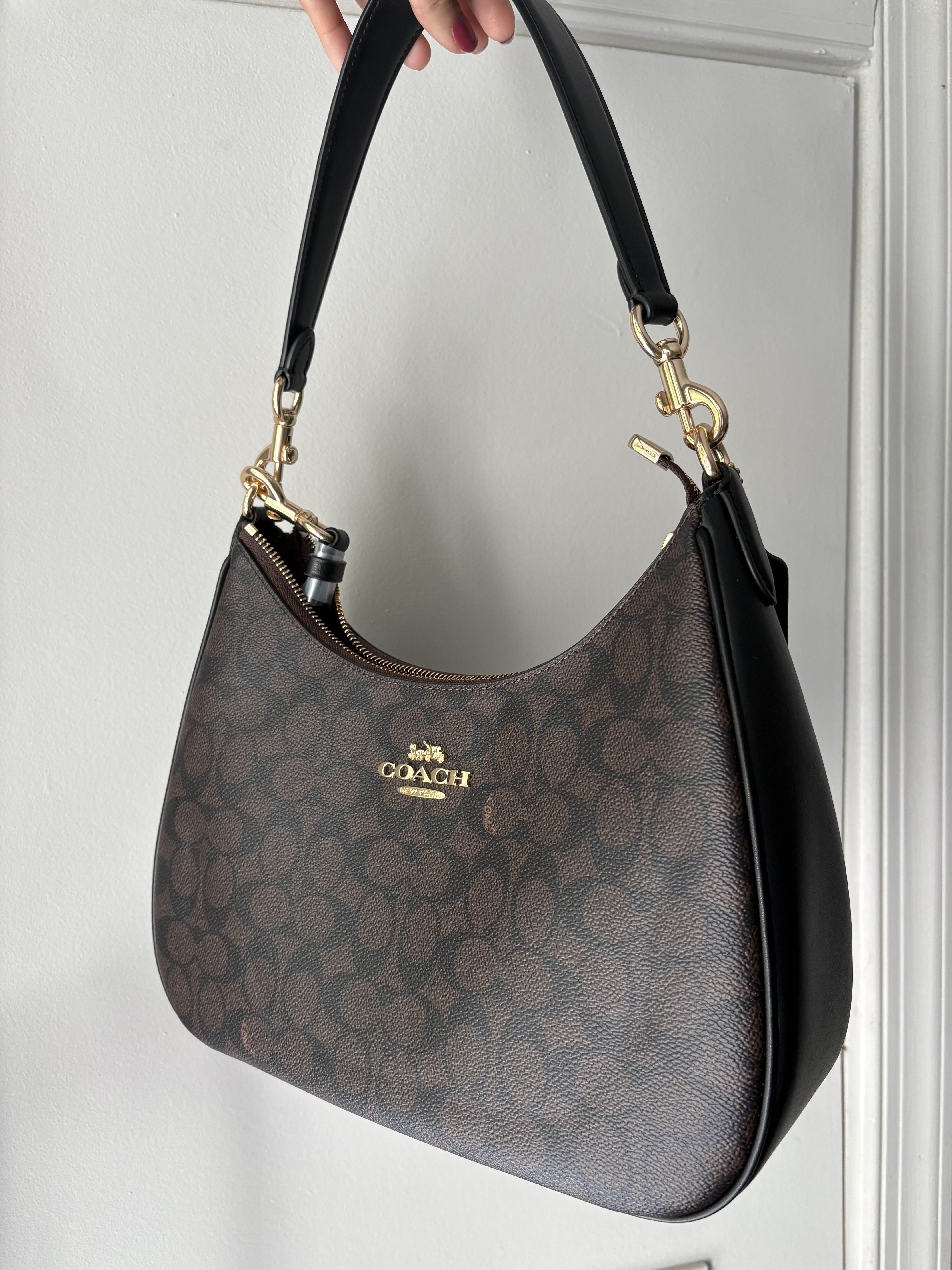 日本未入荷 Coach Teri Hobo Bag CAL67 フルーツ柄 Coach Teri Hobo Bag | Brixton Baker