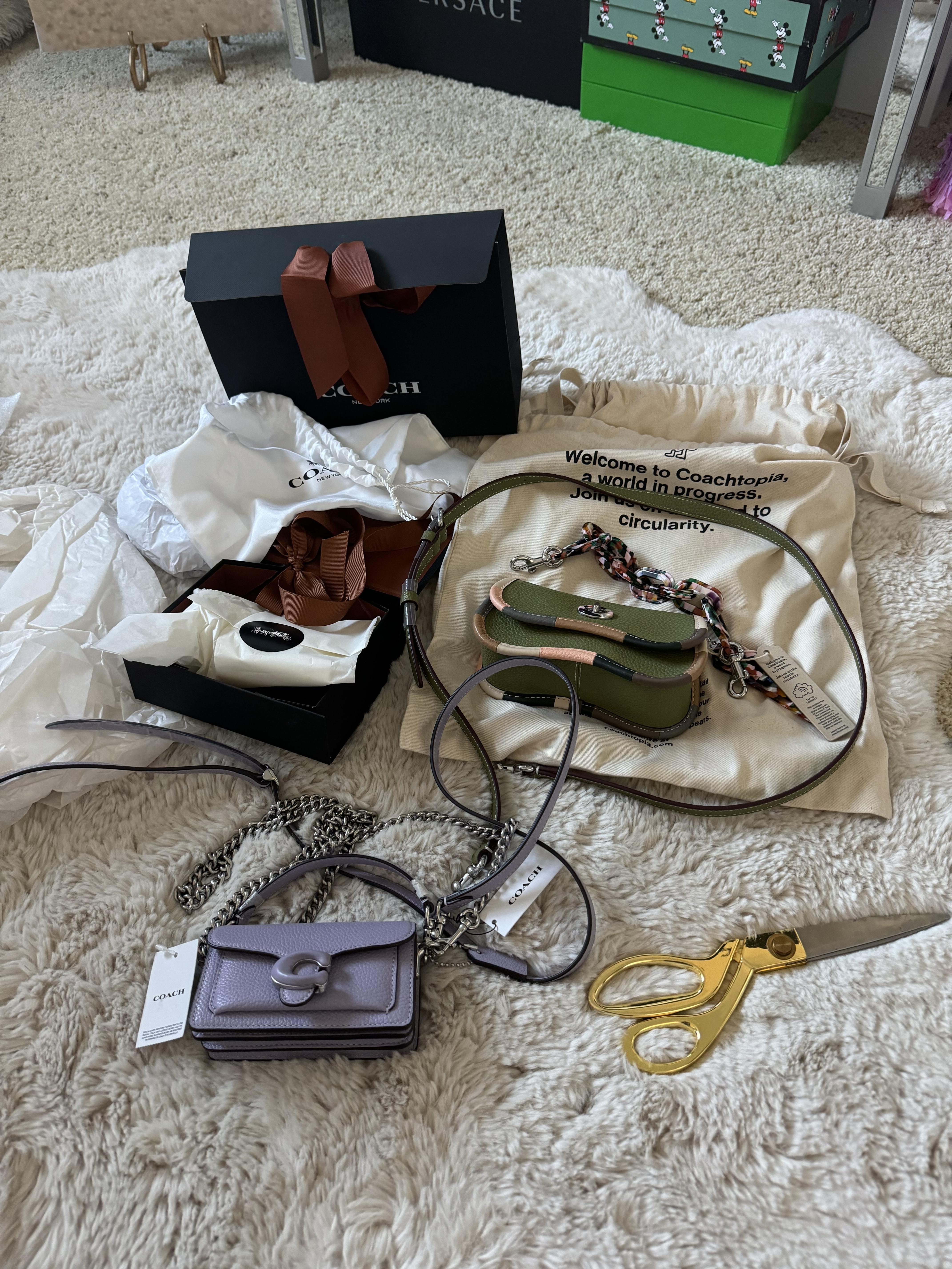Mini Wavy Dinky Bag In Coachtopia Leather With Colorful