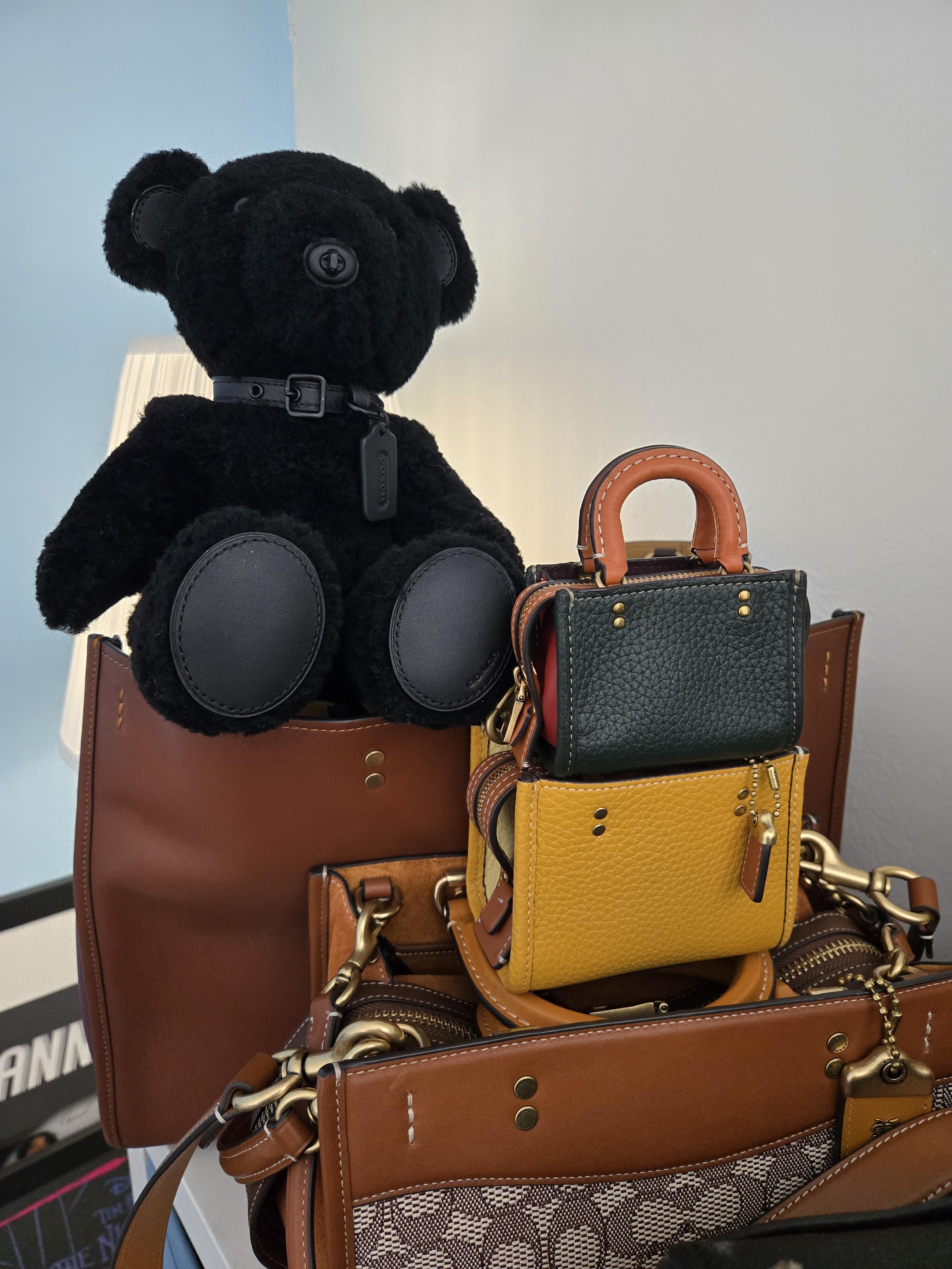 coachベアー NWT Coach Halloween Witch Bear #6086 | eBay