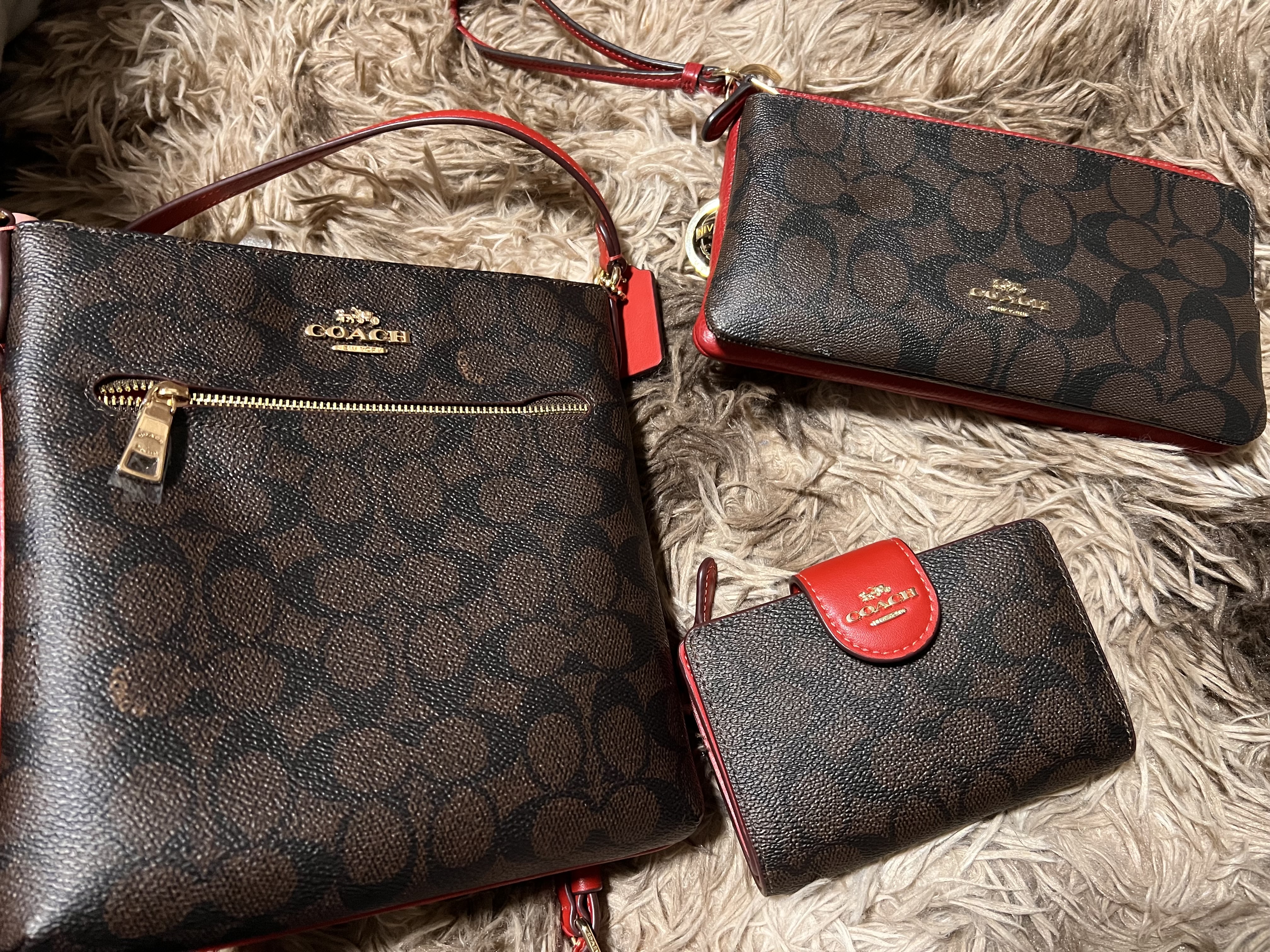 COACH® Outlet | Mini Rowan File Bag With Creature Print COACH® Outlet | Mini Rowan File Bag With Creature Print