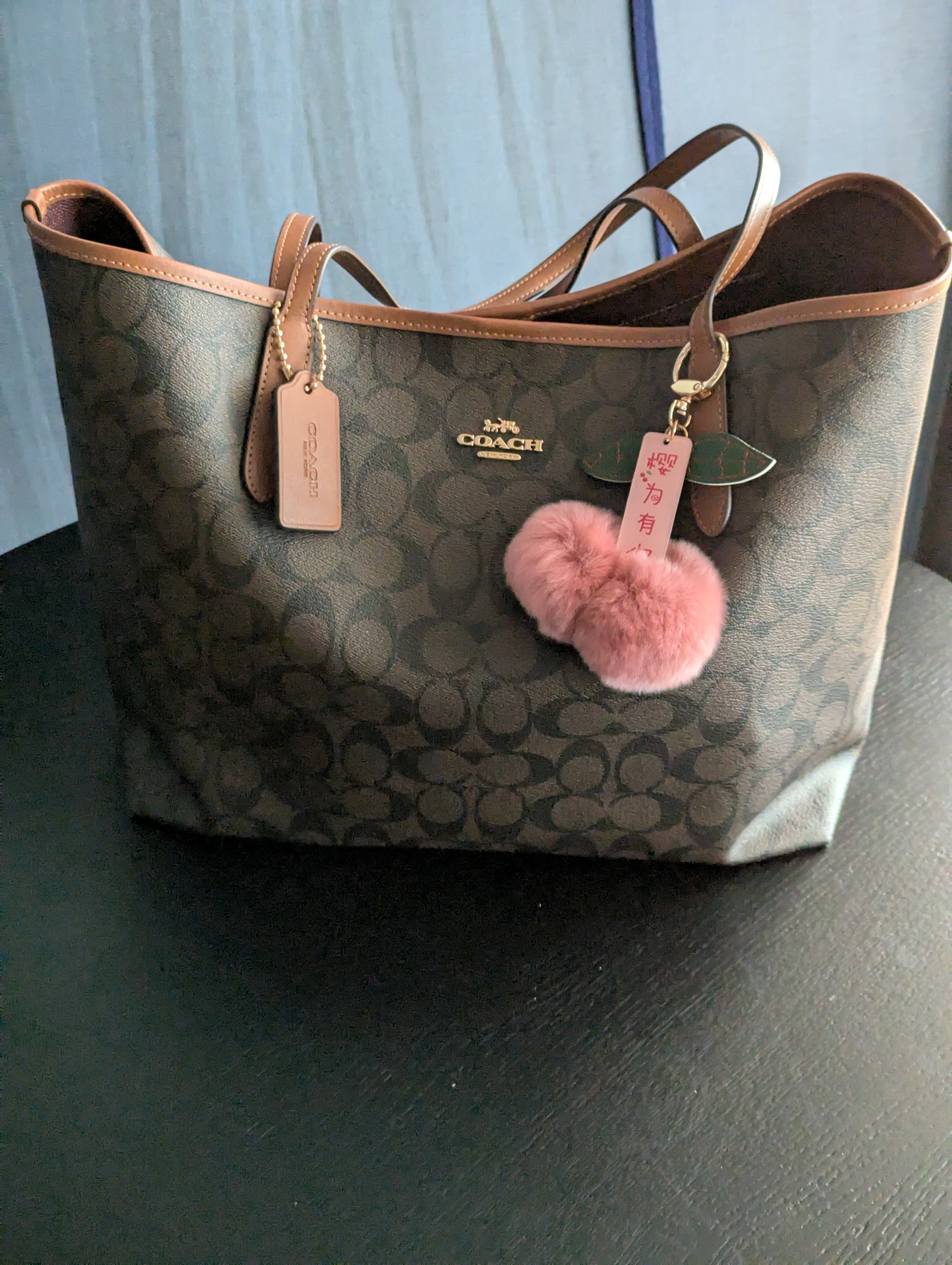 COACH® Outlet | City Tote Bag In Signature Canvas