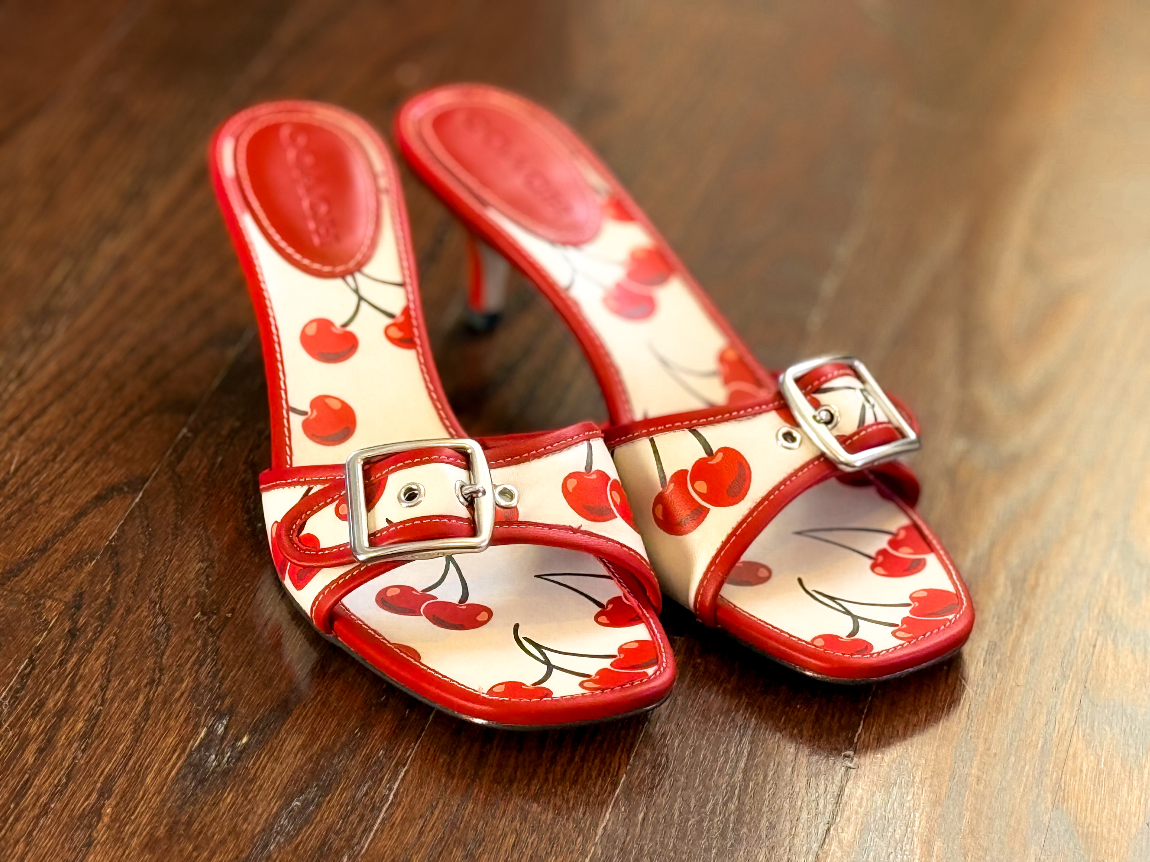 コーチ Margot Sandal With Cherry Print COACH® Outlet | Margot Sandal With Cherry Print