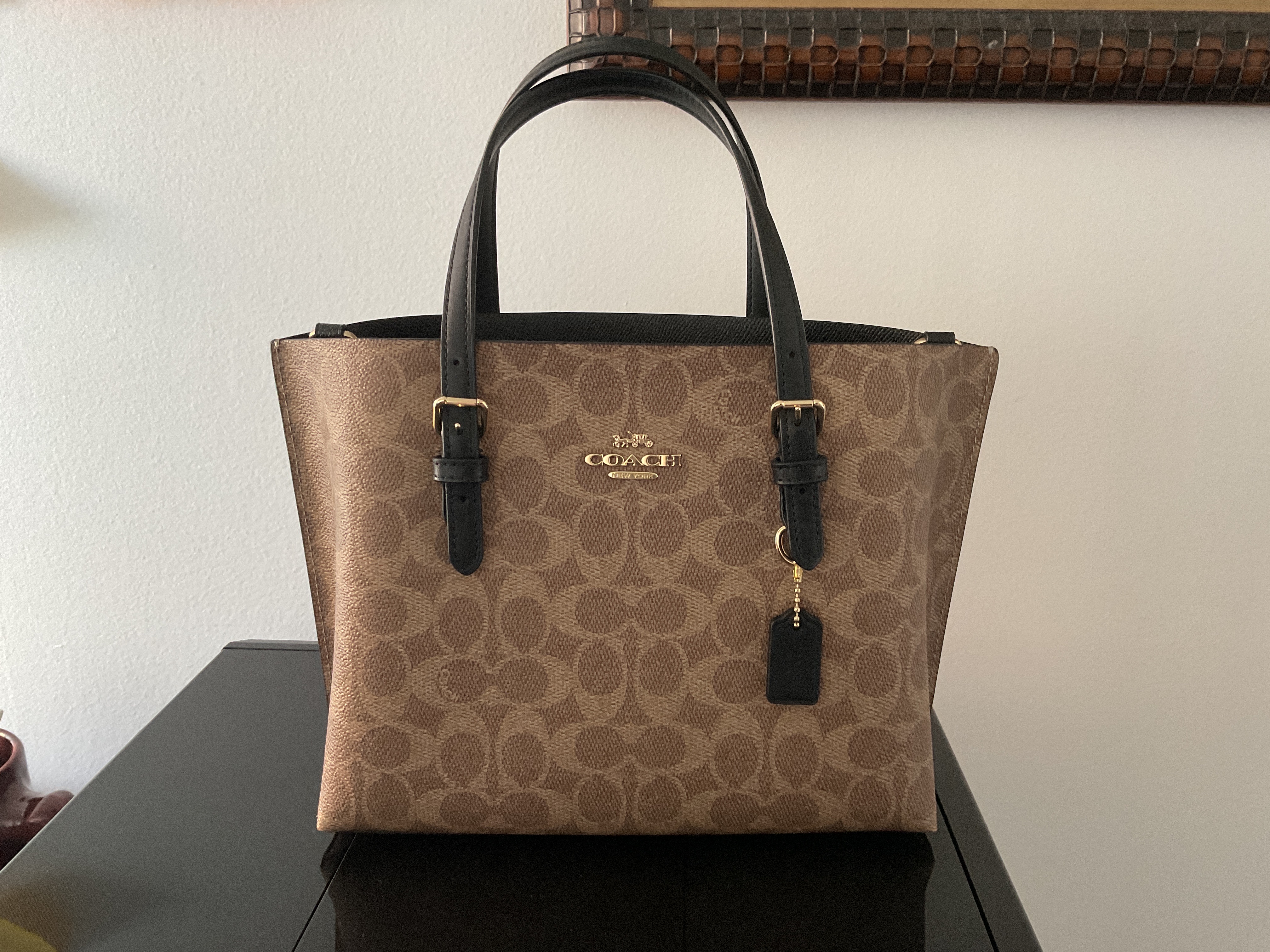 COACH® Outlet | Mollie Tote Bag 25 COACH® Outlet | Mollie Tote Bag 25