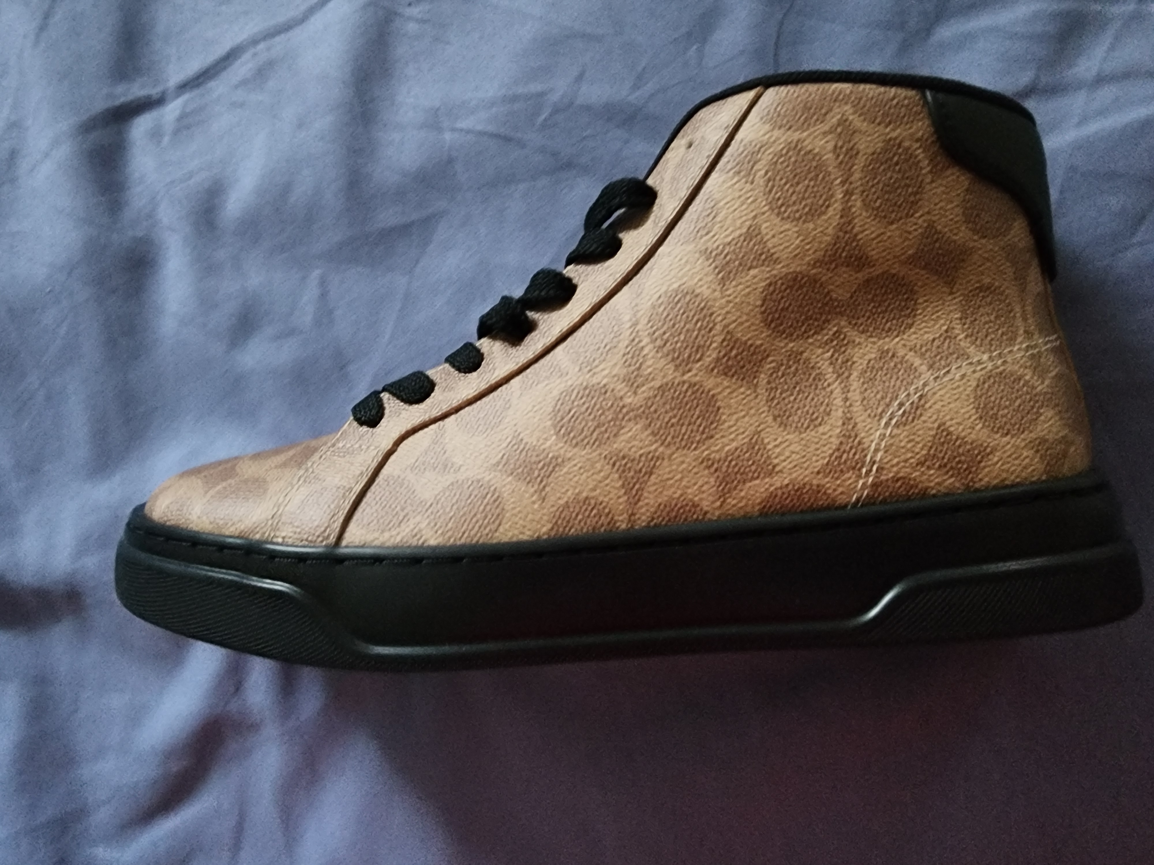 COACH® Outlet | High Line High Top Sneaker In Signature Canvas