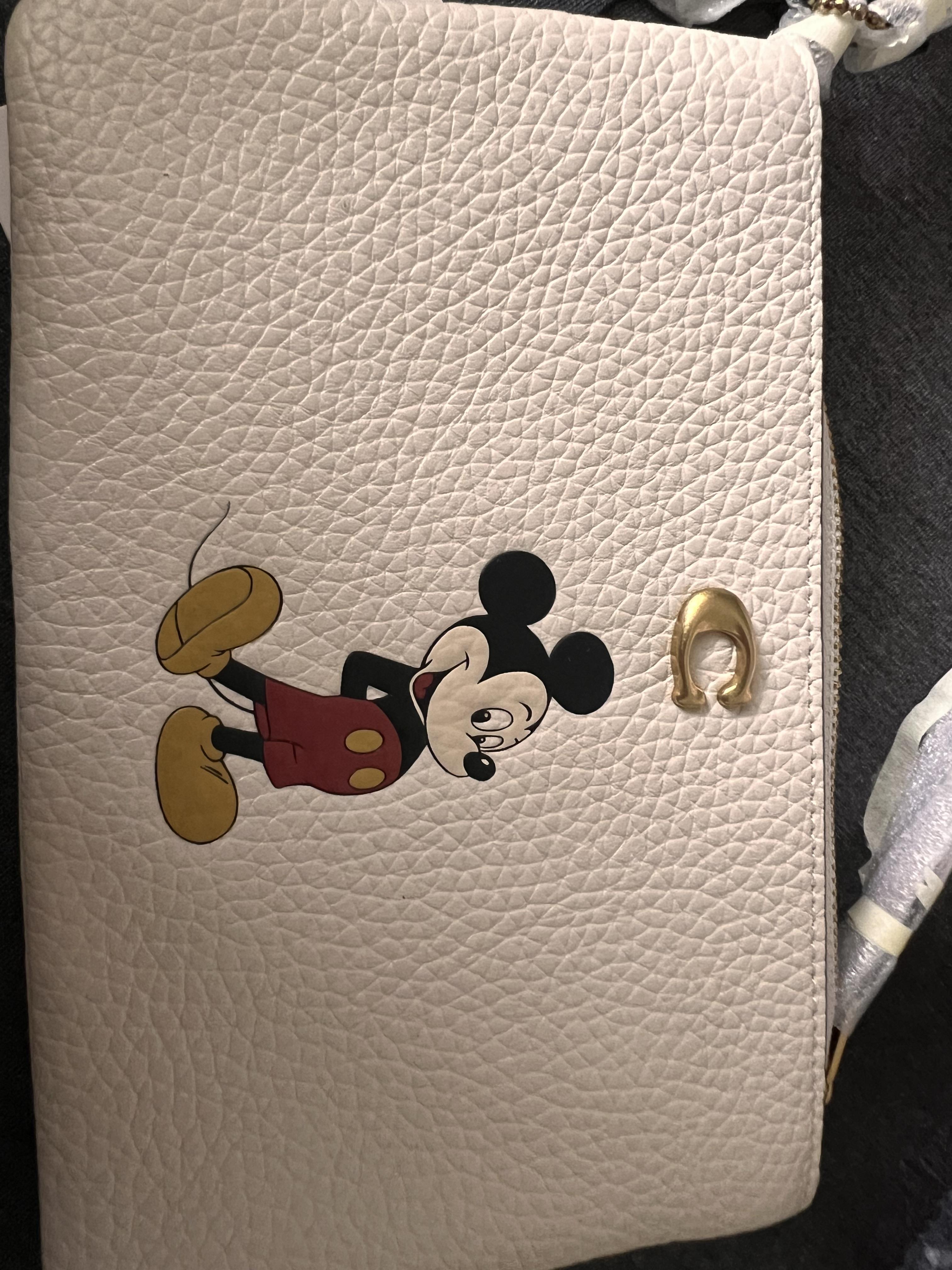COACH® Outlet | Disney X Coach Small Wristlet In Signature