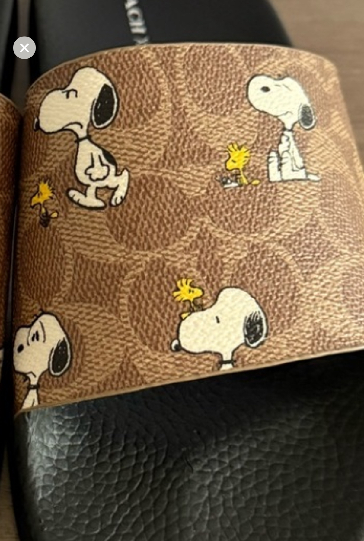 COACH® Outlet | Coach X Peanuts Udele Sport Slide In