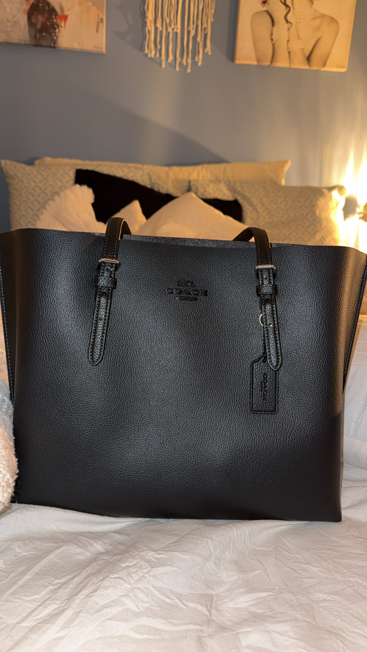 Coach Outlet Coach Mollie Tote Black Tote Review Lth Mollie Tote Coach  COACH® Outlet Mollie Tote Bag 25