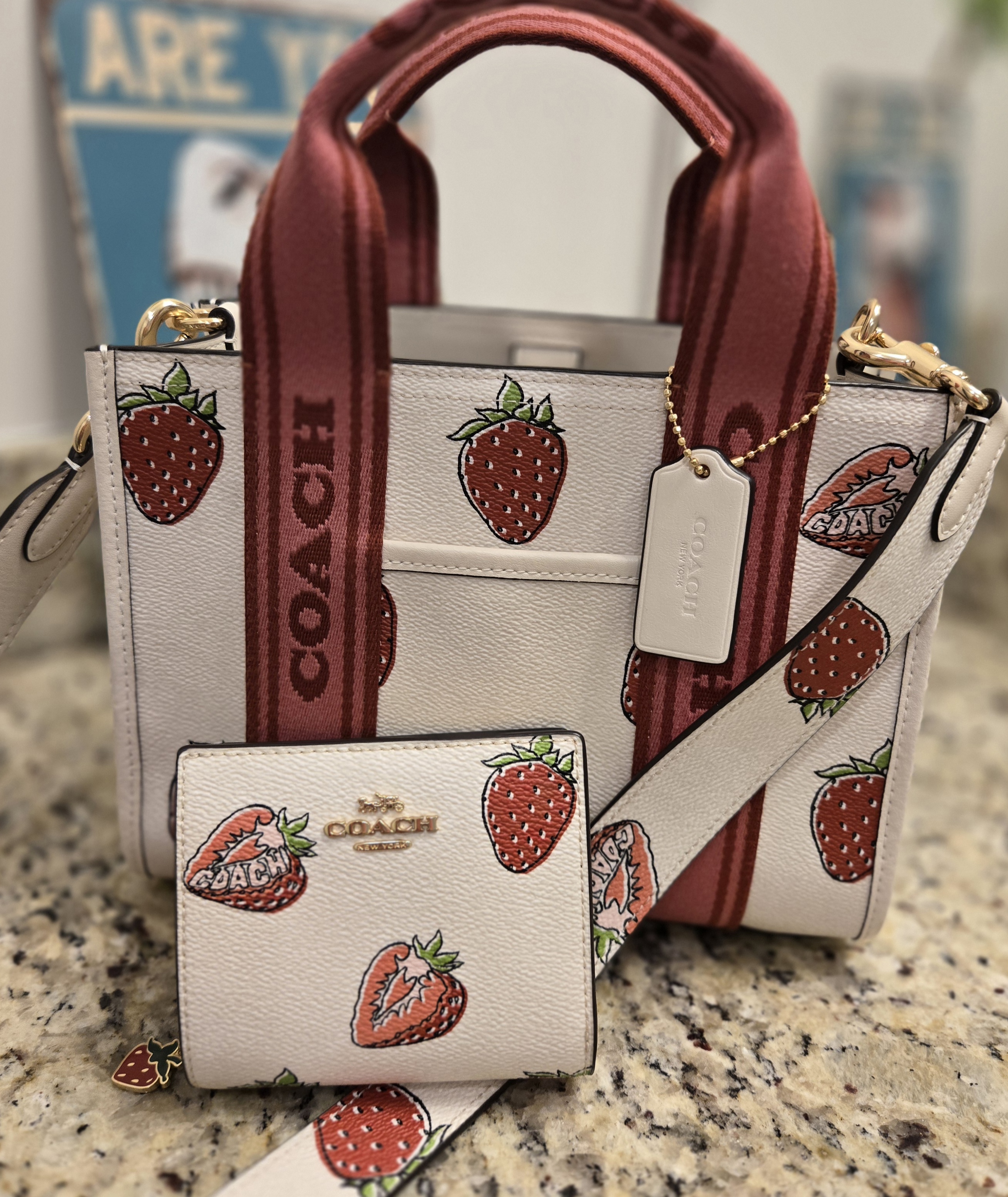 COACH® Outlet | Smith Tote Bag 24