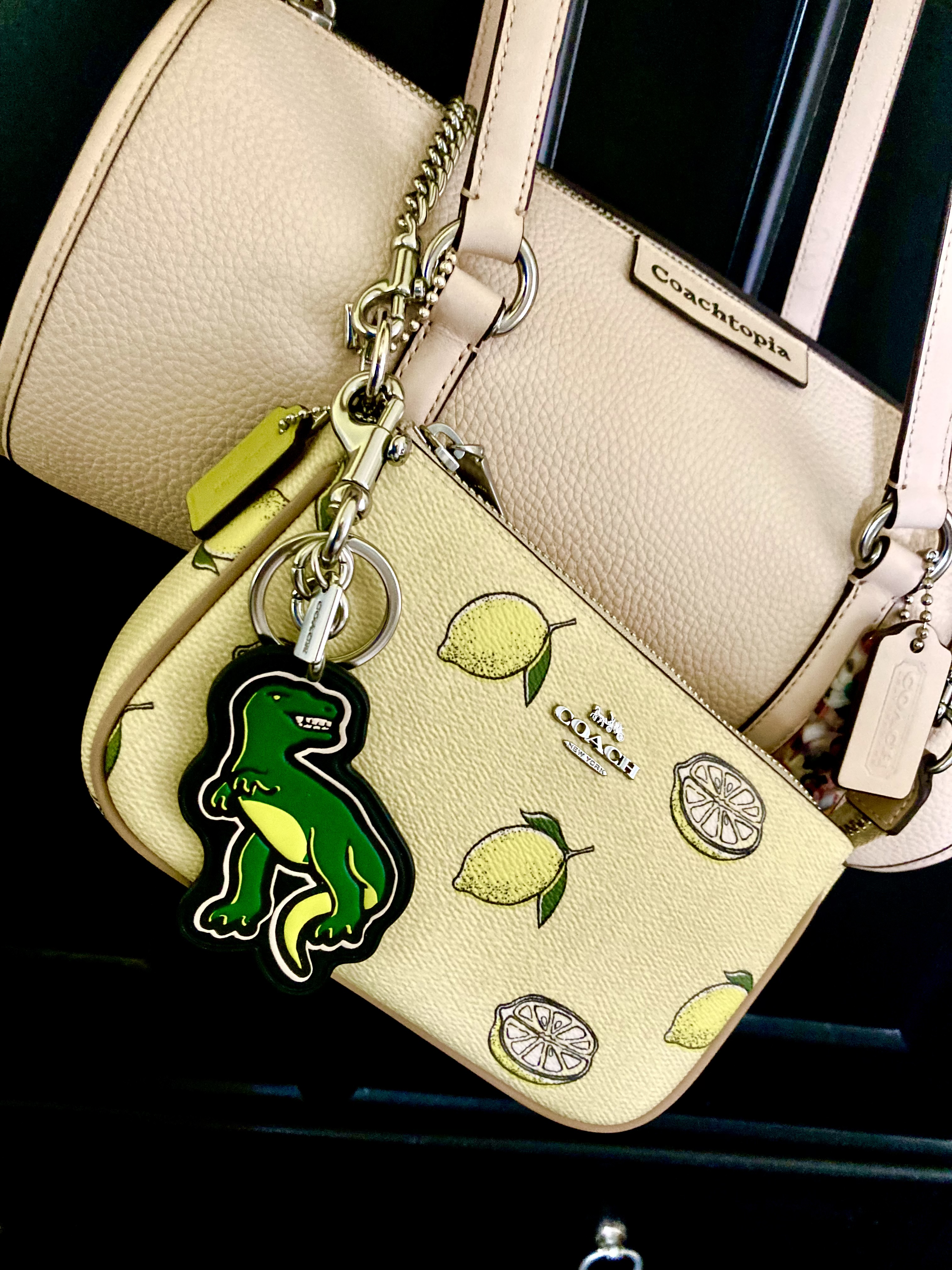 ショルダーバッグ・ポシェット Coach Nolita 19   CBK58 COACH® Outlet | Nolita 19