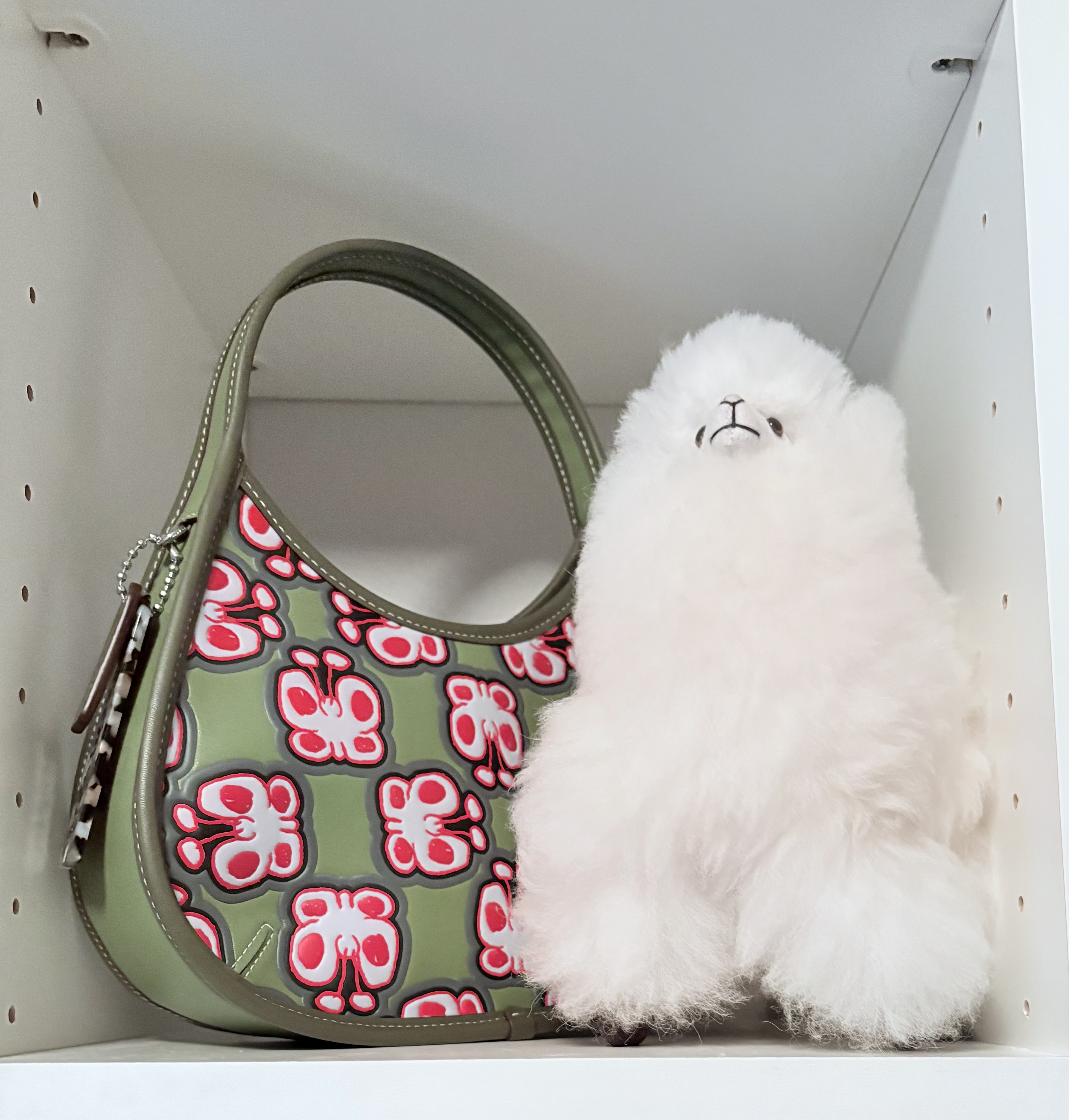 Ergo Bag In Coachtopia Leather With Cherry Print | Coachtopia ™