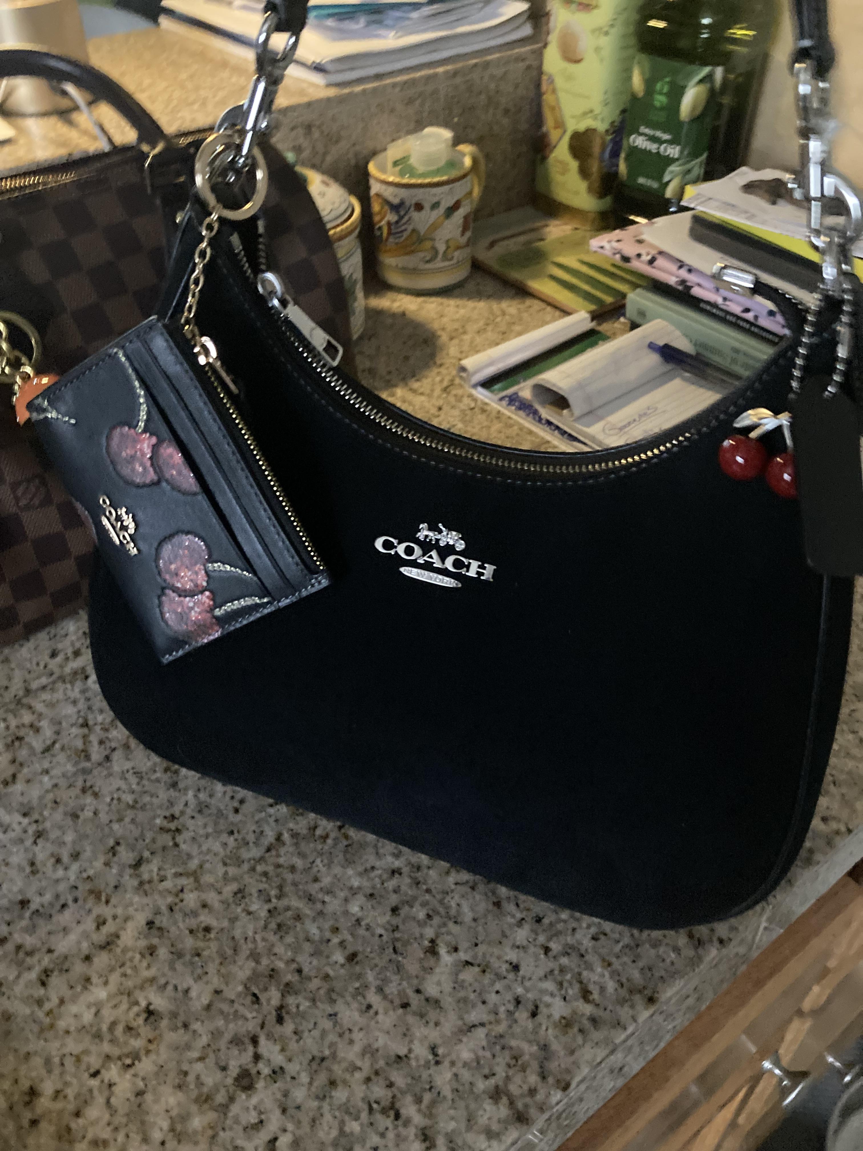 COACH® Outlet | Teri Hobo Bag