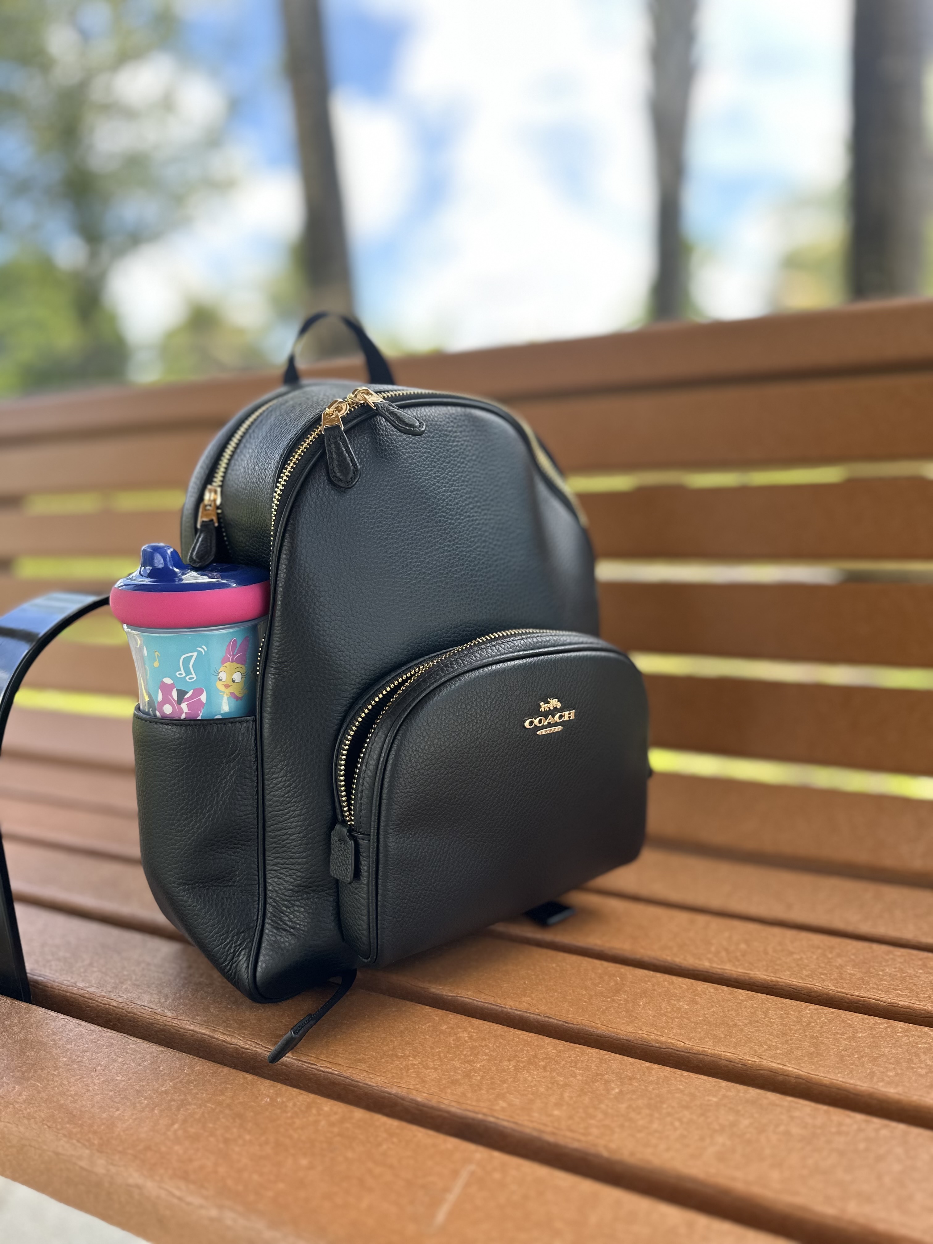 COACH® Outlet | Court Backpack In Signature Canvas