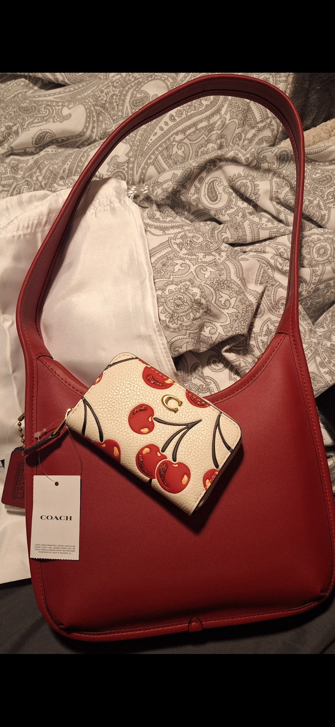 COACH® Outlet | Curve Zip Bag