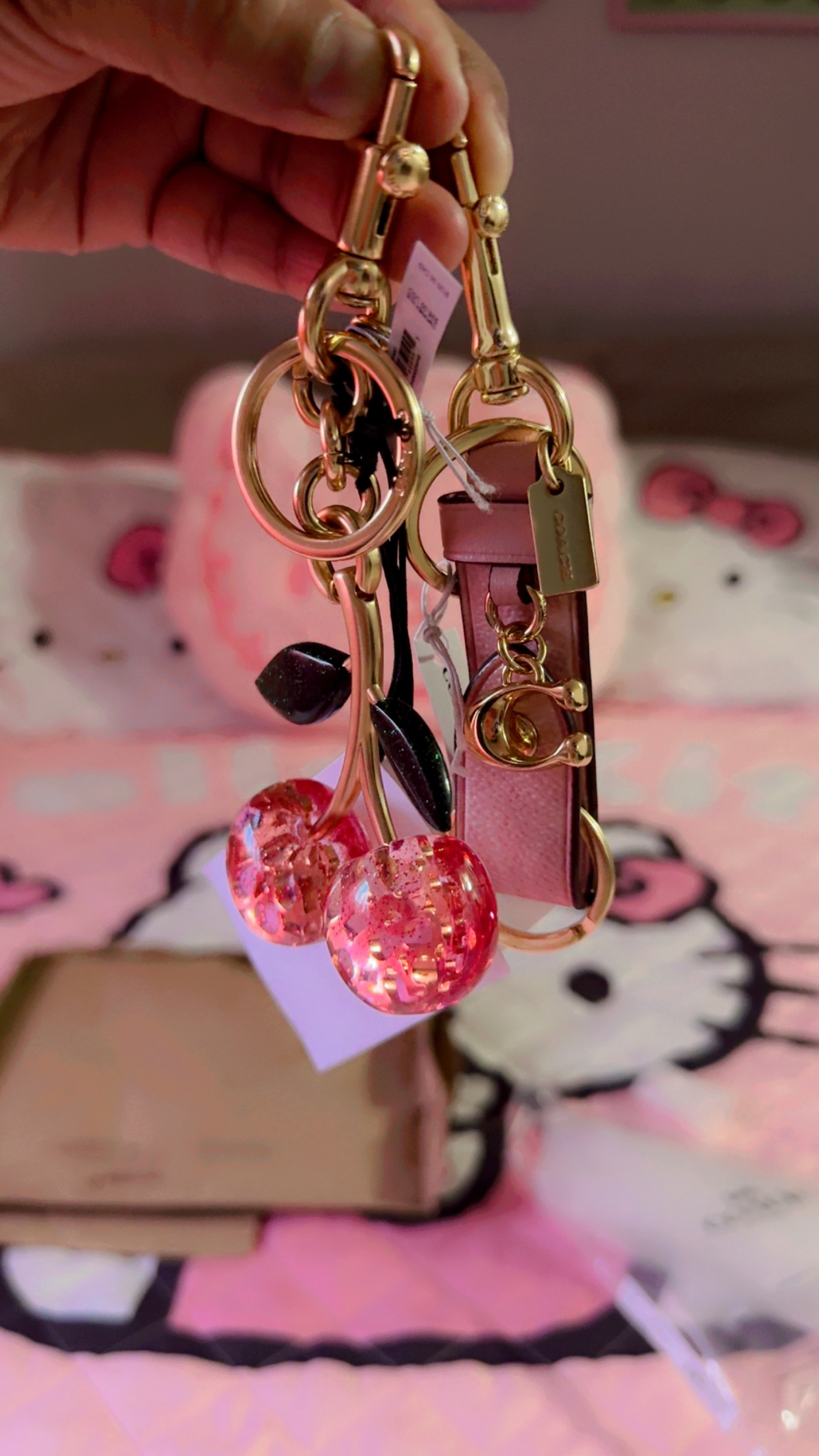COACH® Outlet | Signature Cherry Bag Charm