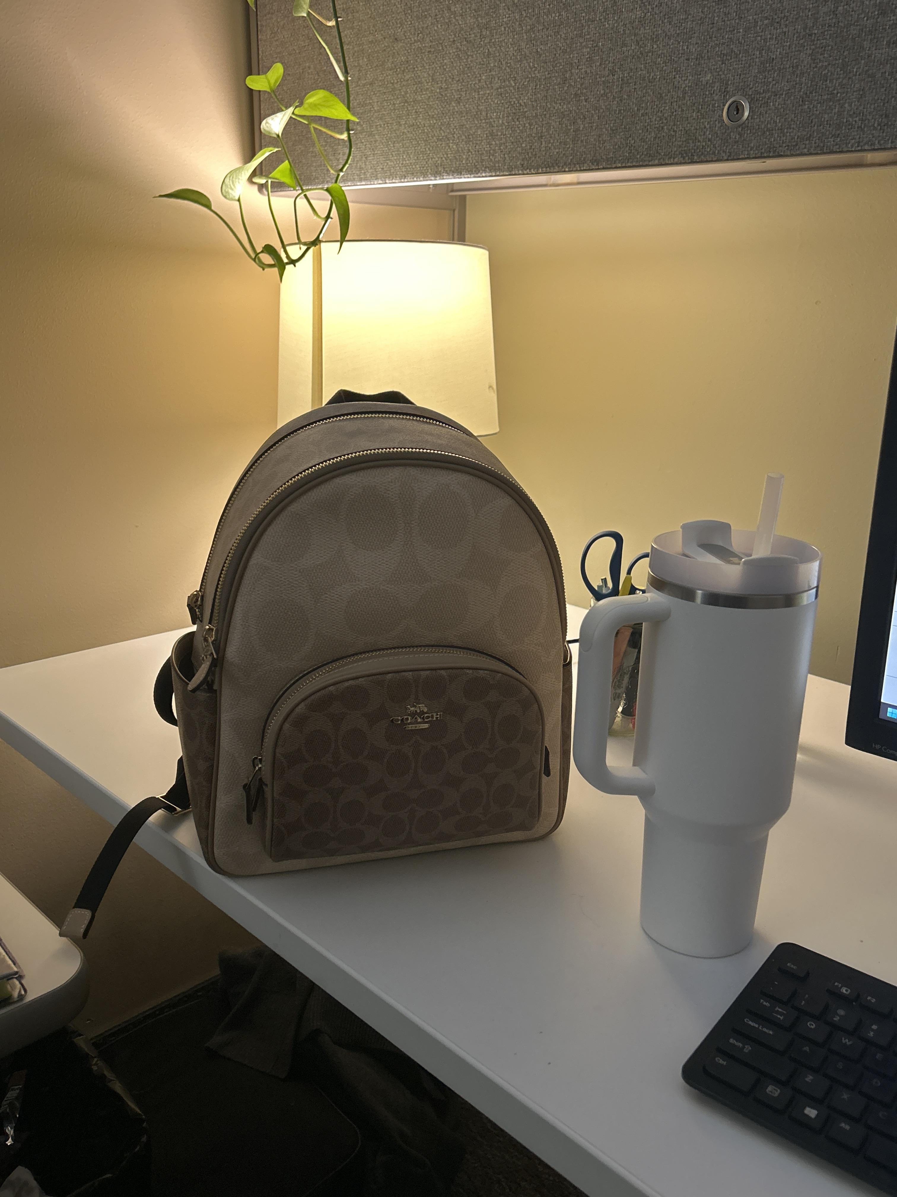 COACH® Outlet | Court Backpack With Strawberry Print