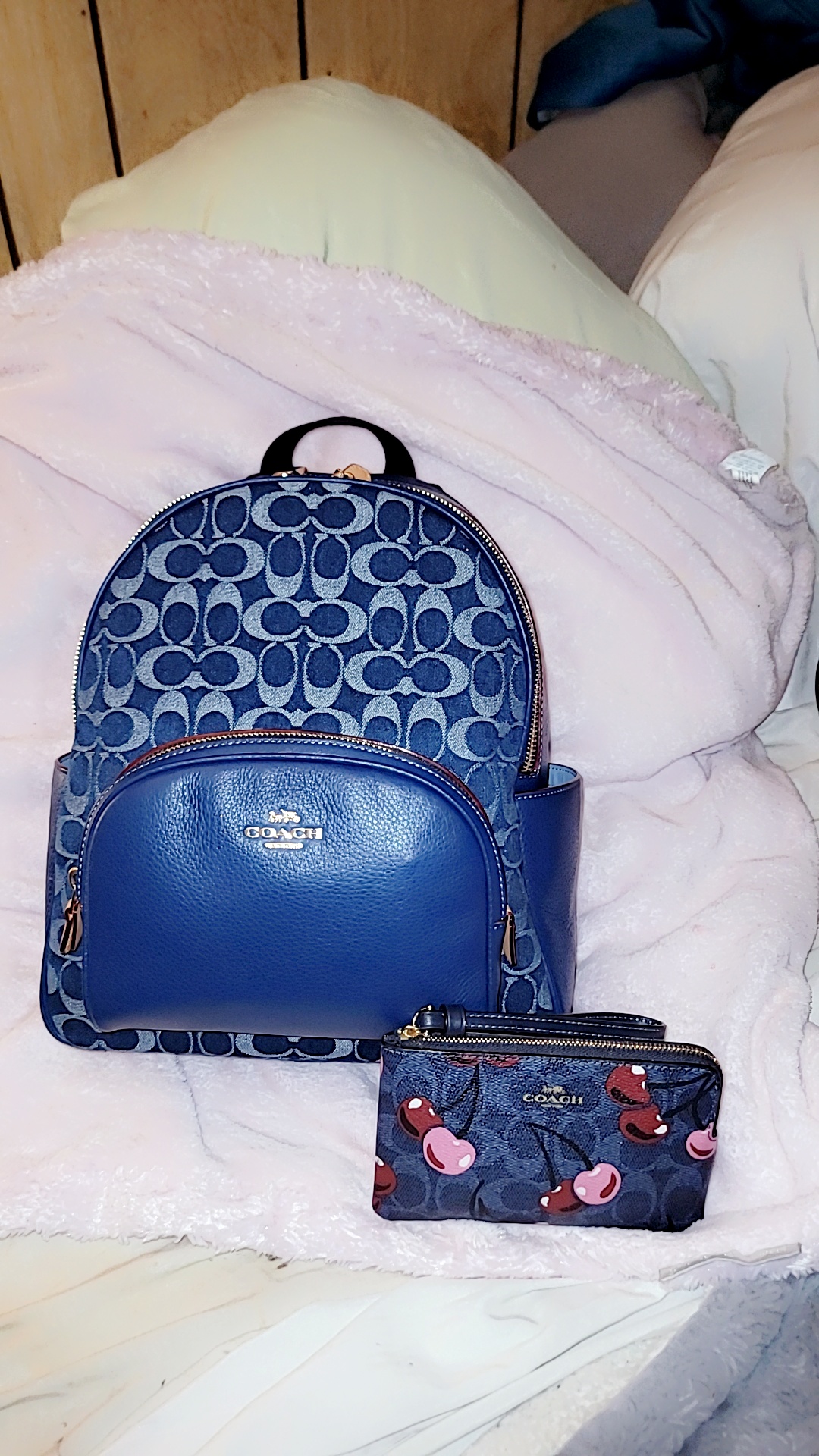 COACH® Outlet | Court Backpack In Signature Canvas