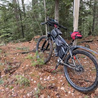 Surly Moloko Handlebar | Jenson USA