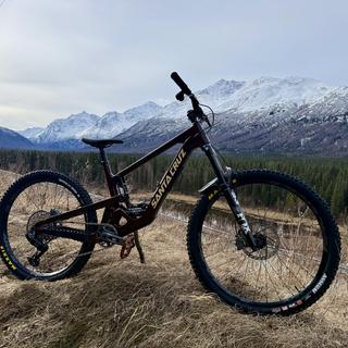 Santa Cruz Bronson 5 C R 2025 Bike | Jenson USA