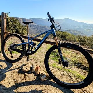 FOX 36 Factory Grip X2 29