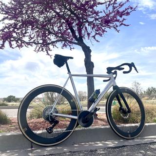 Cannondale CAAD14 3 Bike 2026 | Jenson USA