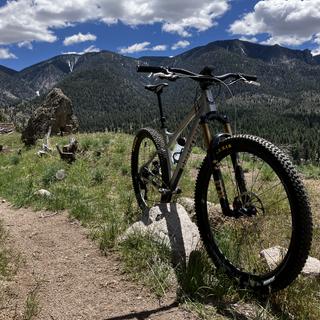 Fox 34 Factory Grip X29