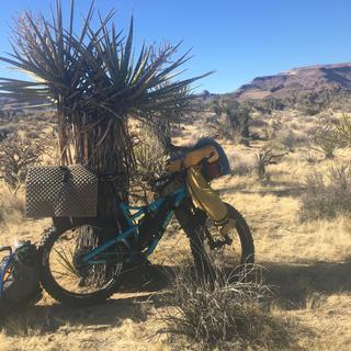 インキャパシタンツ / Zouvneree★特典CD-R2枚付き。 音楽】TV その着せ替え人形は恋をする Season 2 ED「Kawaii Kaiwai