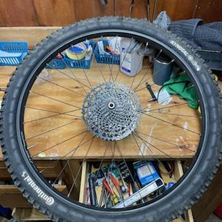 Hope Pro 5 Boost Rear Hub | Jenson USA