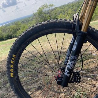 Fox 36 Factory Grip 260mm 29