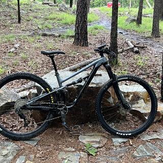 MAXXIS FOREKASTER 29