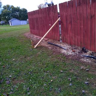 Submitted by Floyd H