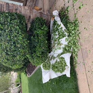 Submitted by Christopher C