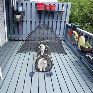 Submitted by James S