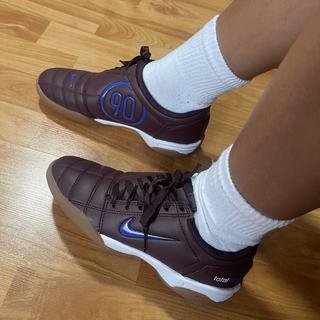 Submitted by C Brenes