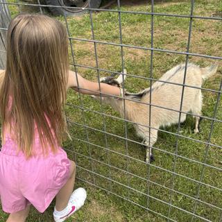 Submitted by meronda74050621f61d4d3e82550ada211b7ad1