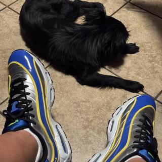 Submitted by CHENTE