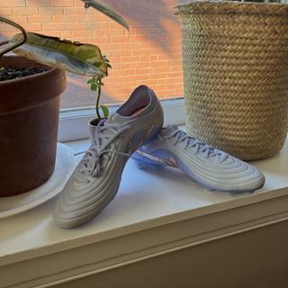 Submitted by Cleats
