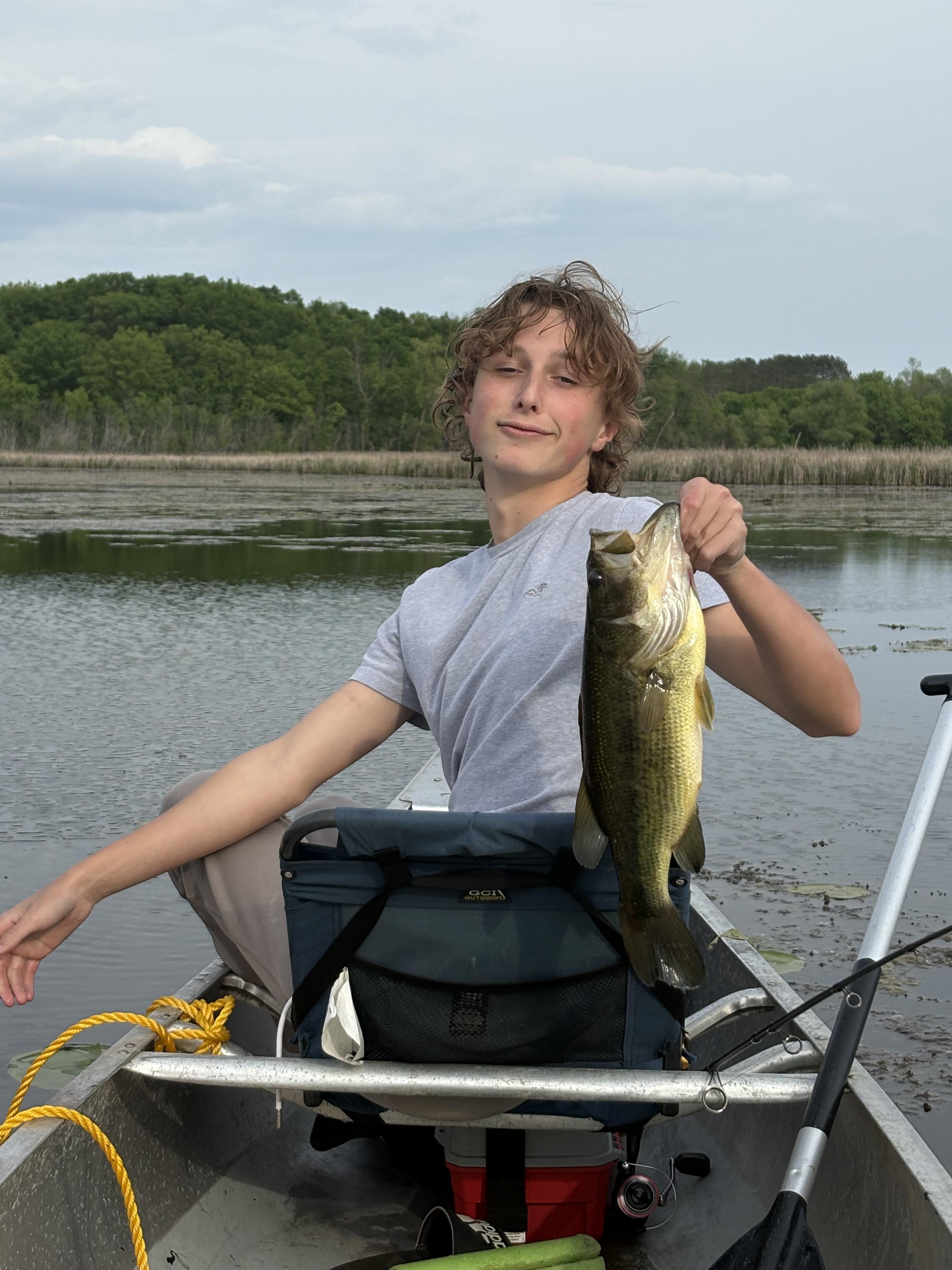 Ugly Stik Elite Spinning Rod