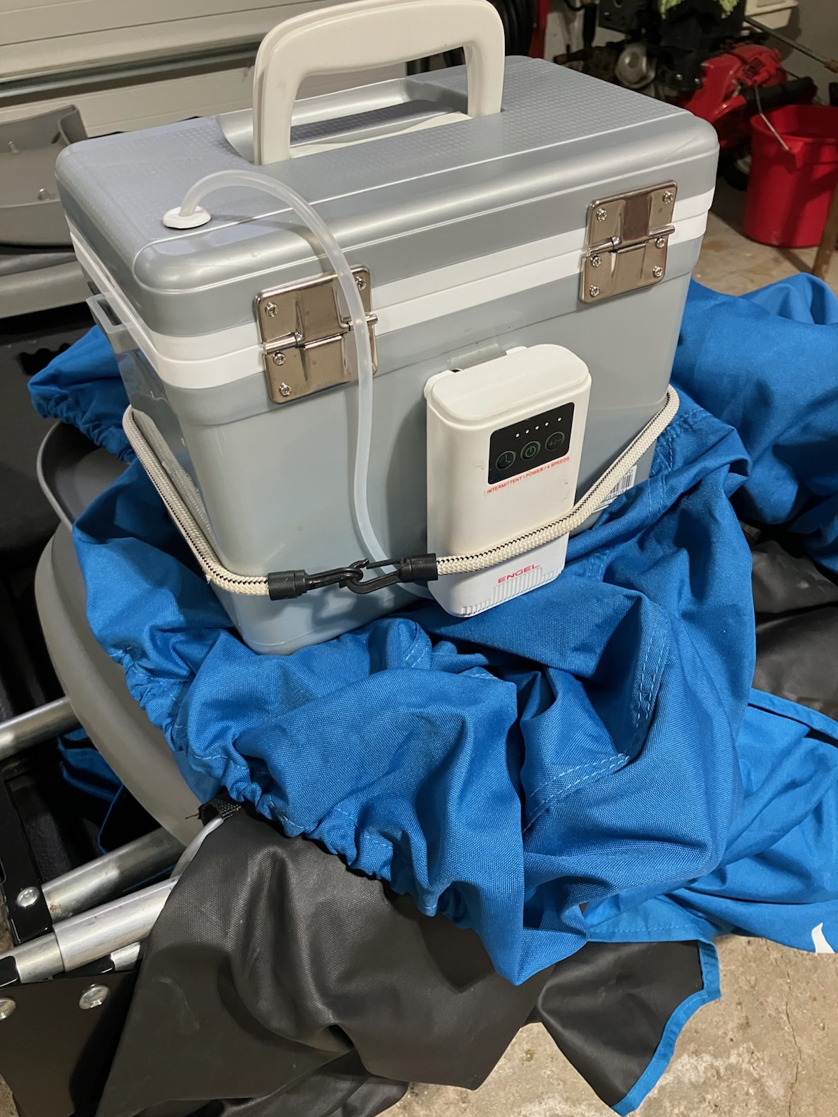 Engel 7.5 Quart Live Bait Pro Cooler | SCHEELS.com